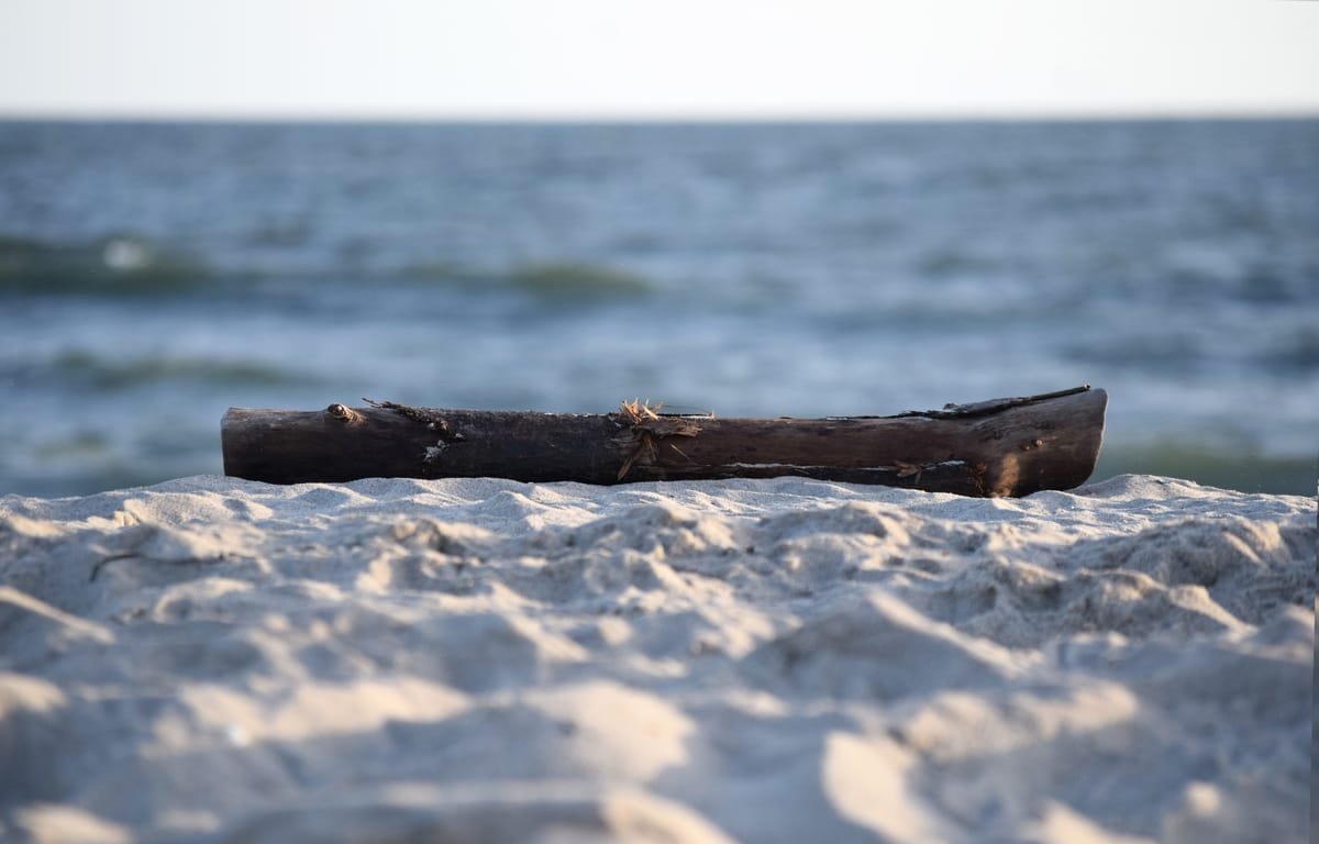 Quiet Long Island beach scene near the water